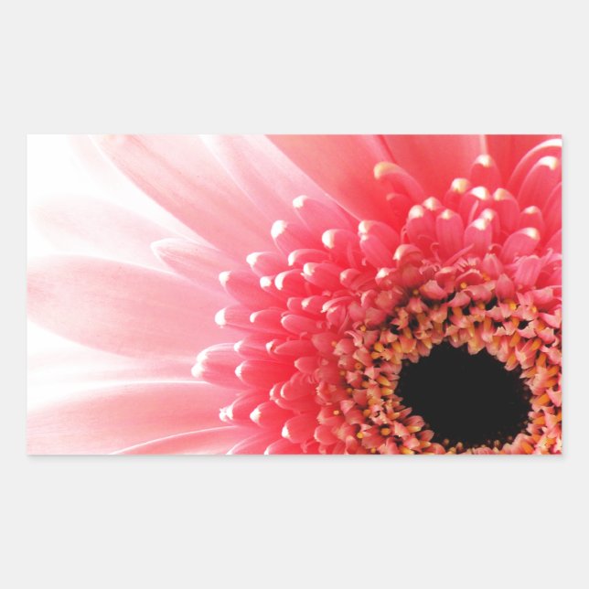 Gerbera Daisy Rectangular Sticker (Front)