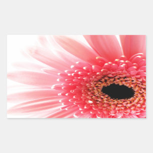 Gerbera Daisy Rectangular Sticker