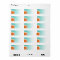 Gerbera Daisy Scroll | orange aqua Mailing
