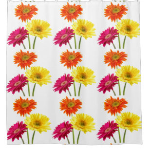 Gerbera Daisy   Shower Curtain