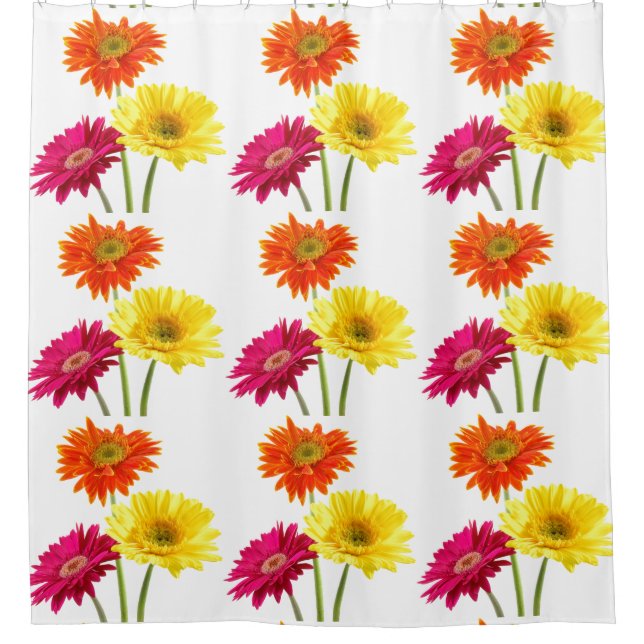 Gerbera Daisy   Shower Curtain (Front)