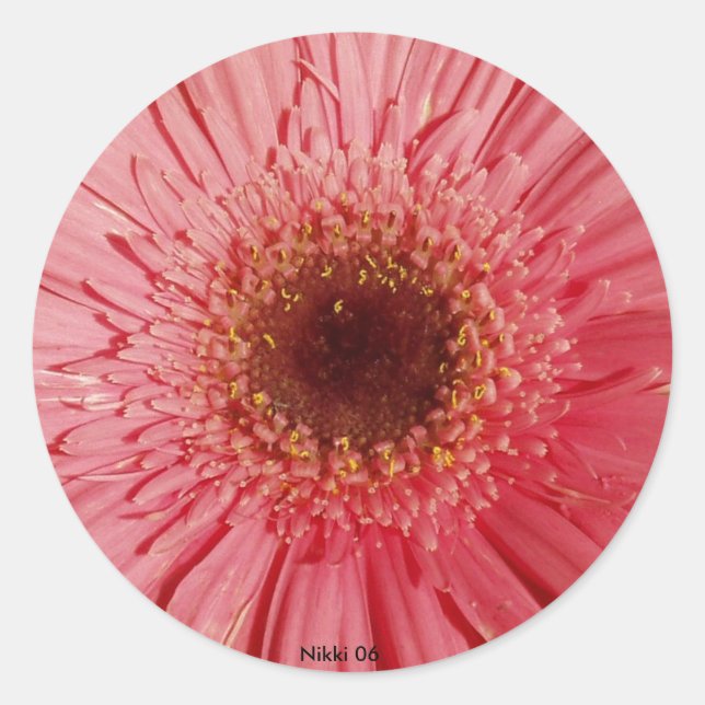 Gerbera Daisy Sticker (Front)