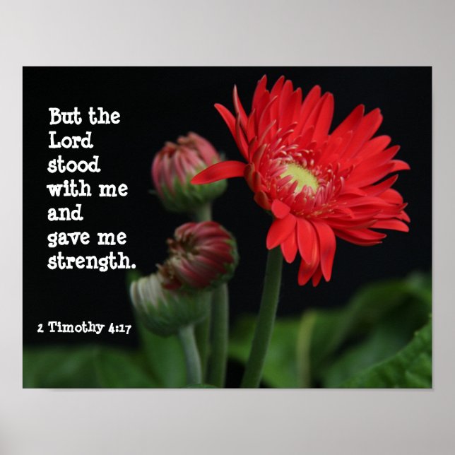 Gerbera Daisy w/ Scripture Verse (Timothy  4:17) Poster (Front)