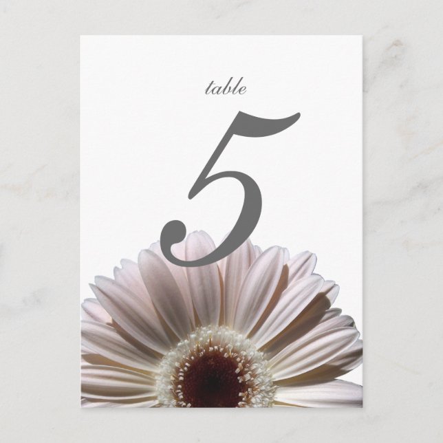 Gerbera Daisy/ Wedding Table Card (Front)