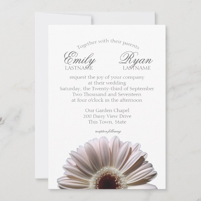Gerbera Daisy White Blush Invitation (Front)