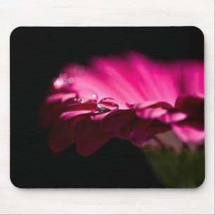 Gerbera Daisy With Drop of Water on a Petal Mouse Pad