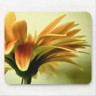 Gerbera Flower Mousepad