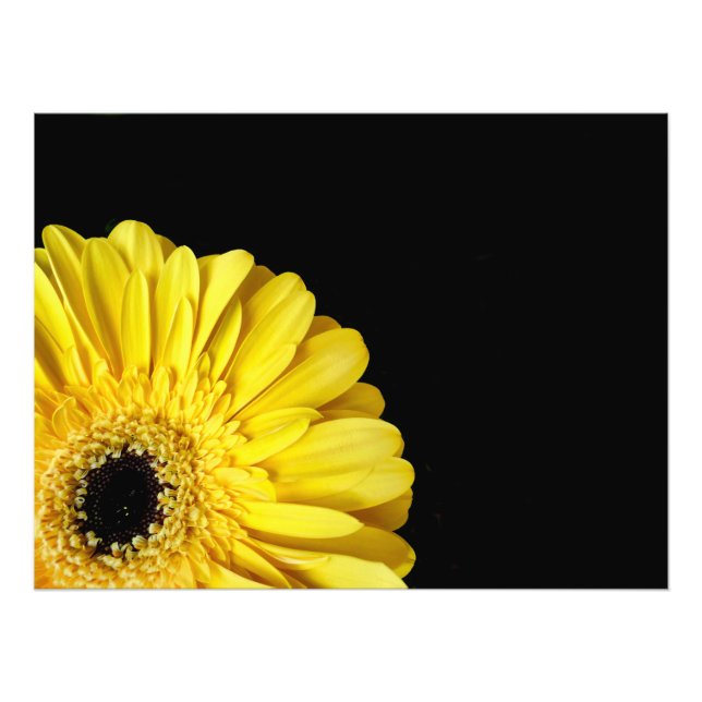 Gerbera Flower Photo Print (Front)