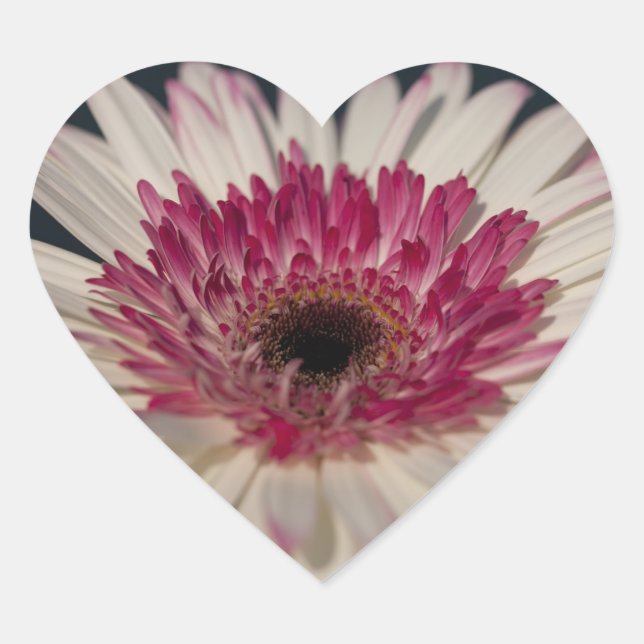 Gerbera Heart :) Sticker (Front)