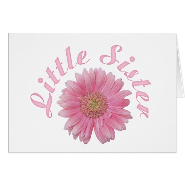 Gerbera Little Sister (Front Horizontal)