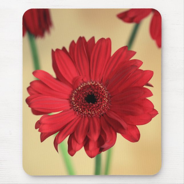 Gerbera Mouse Pad (Front)
