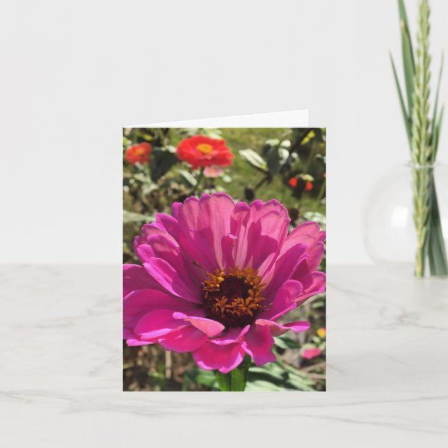 gerbera notecard (blank inside) (Front)