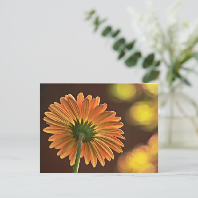 Gerbera Postcard (Standing Front)