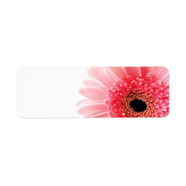 Gerbera Return Address Label (Front)
