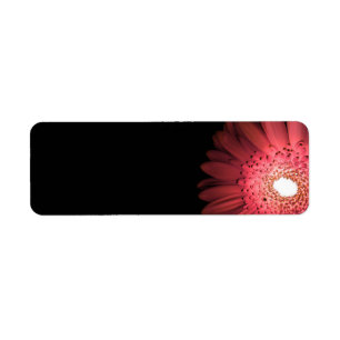Gerbera Return Address Label