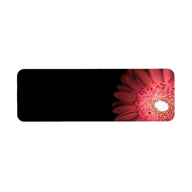 Gerbera Return Address Label (Front)
