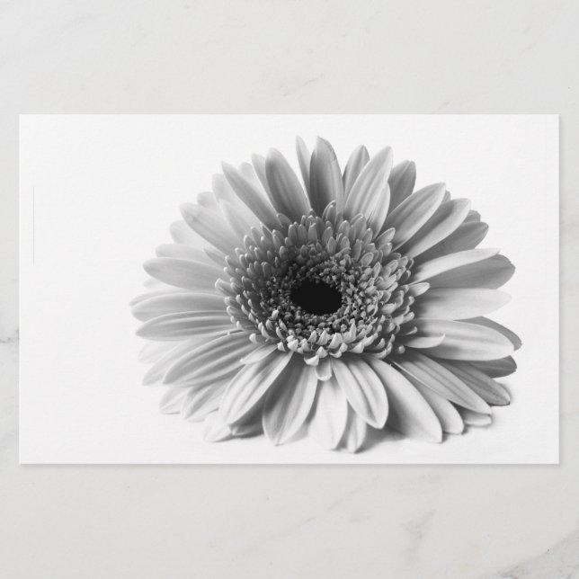 Gerbera Stationery (Front)