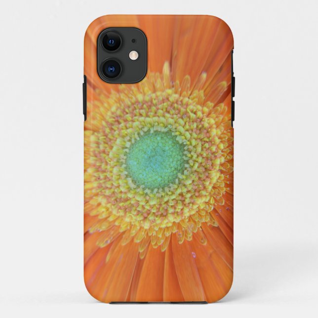 Gerbera Sun Case-Mate iPhone Case (Back)