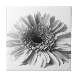 Gerbera Tile