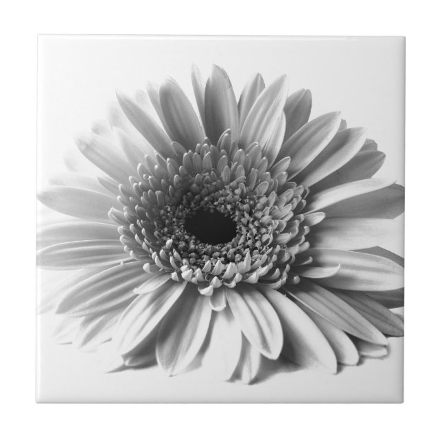 Gerbera Tile (Front)