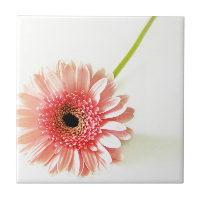 Gerbera Tile (Front)