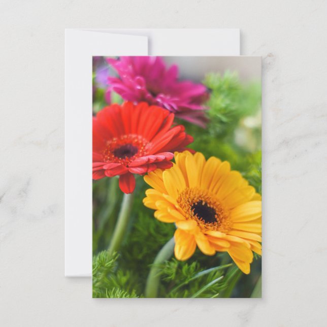 Gerberas Flowers Thank You Card (Front)