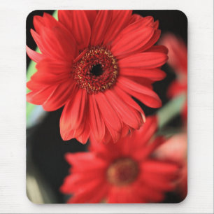 Gerberas Mouse Pad