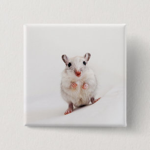 Gerbil Baby Animal Cute Pet Gerbils Template 15 Cm Square Badge