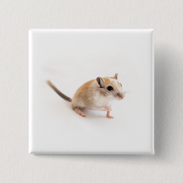 Gerbil Cute Baby Animal Pet Gerbils Template 15 Cm Square Badge (Front)