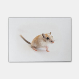 Gerbil Cute Baby Animal Pet Gerbils Template Post-it Notes