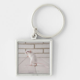 Gerbil standing key ring