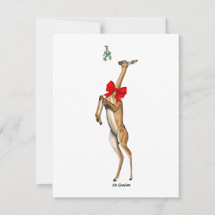 Gerenuk - holiday card