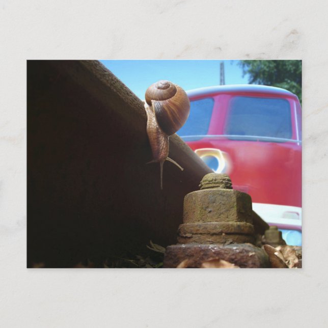 gerettet postcard (Front)