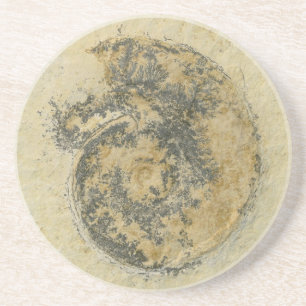 German Ammonite with Dendrites Coaster