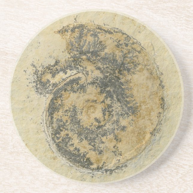 German Ammonite with Dendrites Coaster (Front)