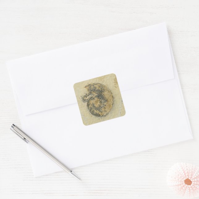 German Ammonite with Dendrites Square Sticker (Envelope)