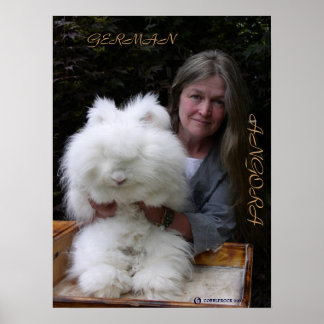 GERMAN ANGORA RABBIT ADD POSTER