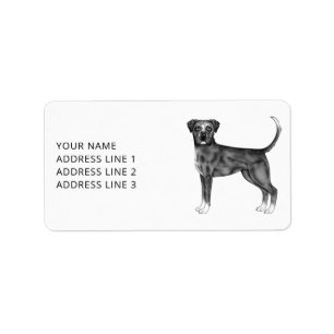 German Boxer Dog In Black And White & Custom Text Label
