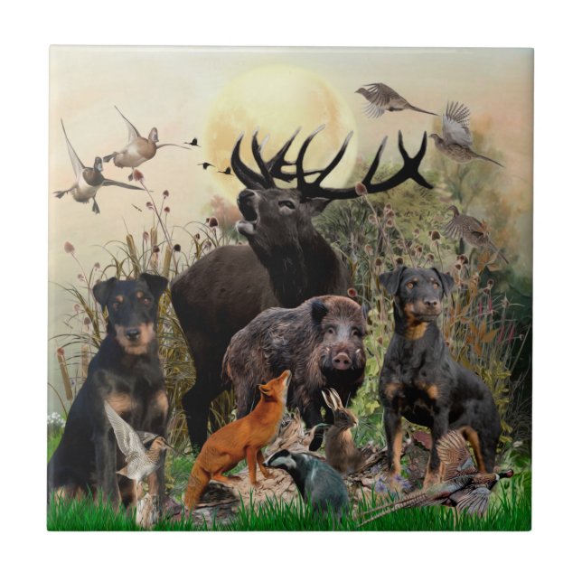 German Hunting Terrier (Jagdterrier)  Ceramic Tile (Front)