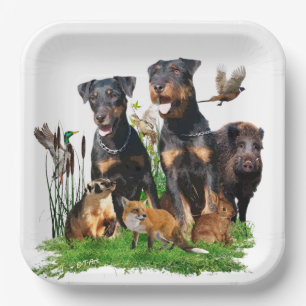 German Hunting Terrier (Jagdterrier)  Paper Plate