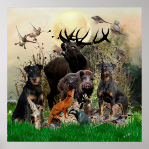 German Hunting Terrier (Jagdterrier)    Poster