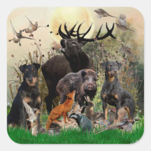 German Hunting Terrier (Jagdterrier)    Square Sticker