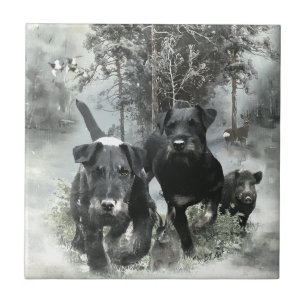 German Hunting Terrier, The Jagdterrier , Art Ceramic Tile