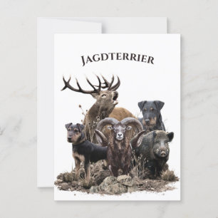 German Hunting Terriers  Postcard