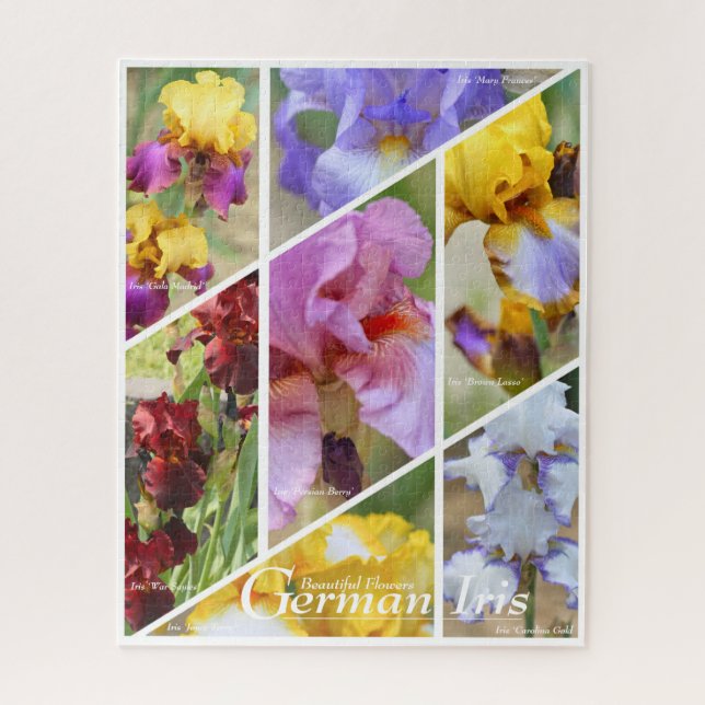 German Iris_01 [Jigsaw puzzle: 520P] ジグソーパズル Jigsaw Puzzle (Vertical)