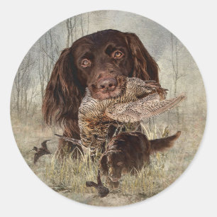 German Longhaired Pointer  Classic Round Sticker