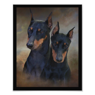 German Pinscher Photo Print