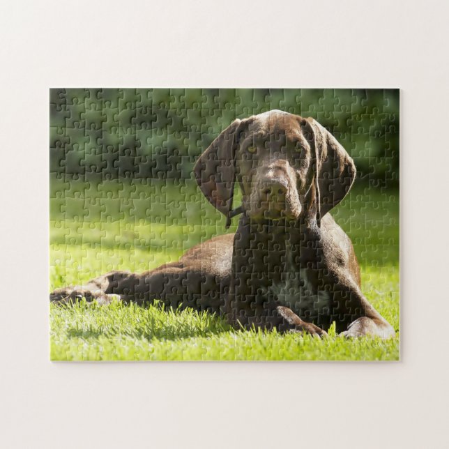 German Pointer Dog. Jigsaw Puzzle (Horizontal)