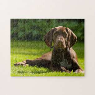 German Pointer Dog. Jigsaw Puzzle