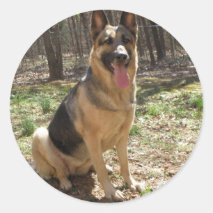 german shepard classic round sticker